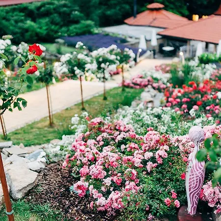 Sv. Ludmila 4* スカリツァ